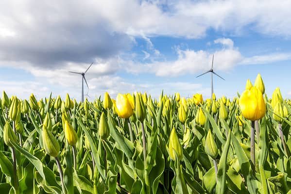 Les avantages d'une éolienne de jardin | Eolienne-Heragos